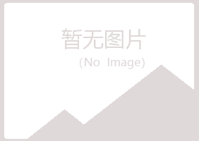 鹤岗盼山水泥有限公司